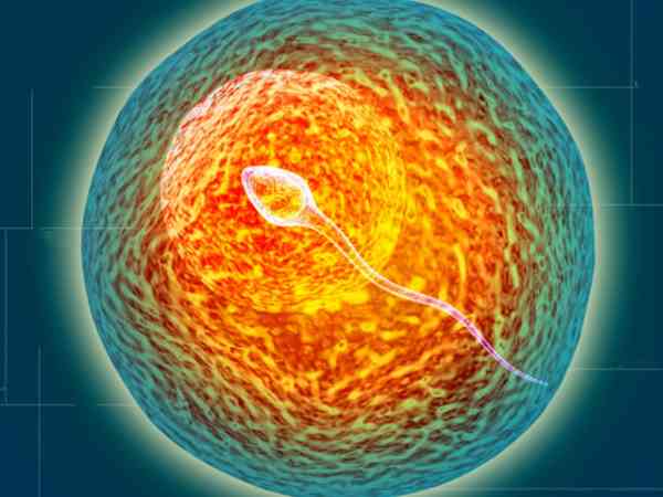 胚胎20染色体三体是精子质量差导致的吗？