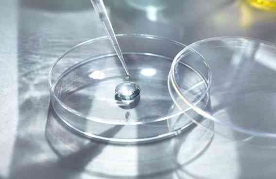 试管婴儿同一批培养的胚胎都是一样的性别吗？