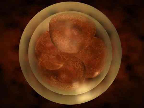 丧偶女性可以继续做试管婴儿移植剩余胚胎吗？