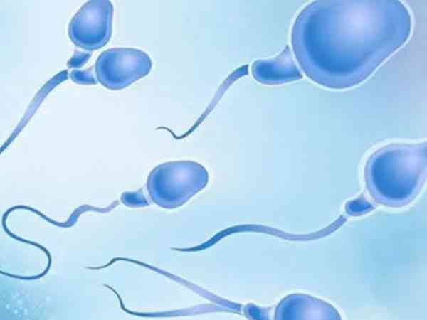 正常精子数量少只有6个可以做试管吗？