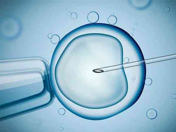 精子不完全液化做几代试管婴儿成功率比较高？