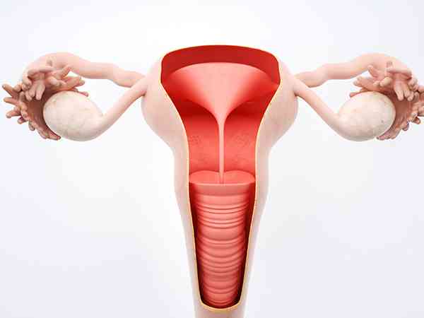 子宫内膜20mm移植囊胚能着床怀孕吗？