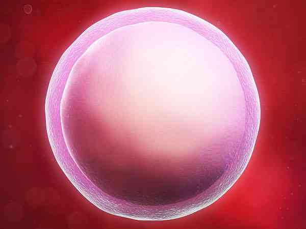 试管2pn2级的胚胎质量到底是好还是不好？