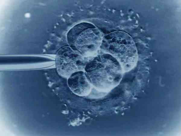 试管移植4ba囊胚的成功率有多少？