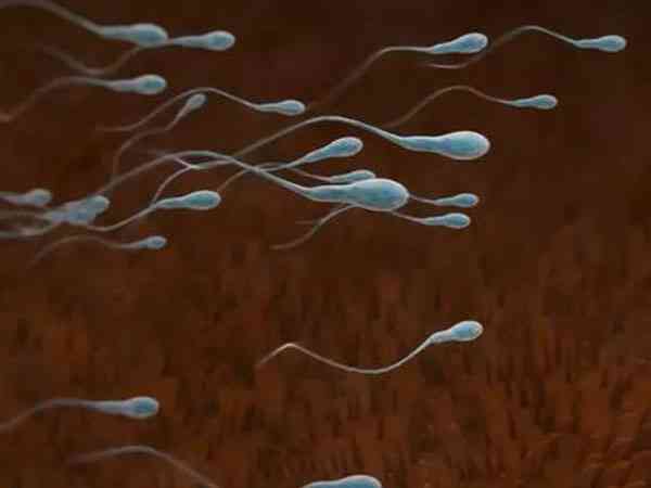 试管用早补救icsi方案是精子问题还是卵子？