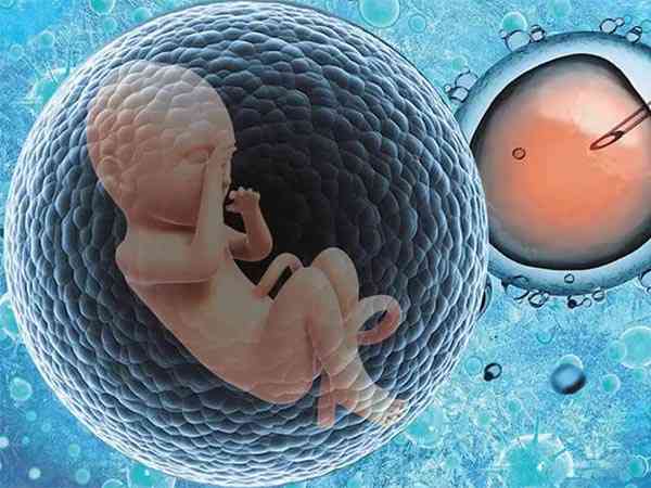试管婴儿胚胎不卵裂跟基因有关系吗？