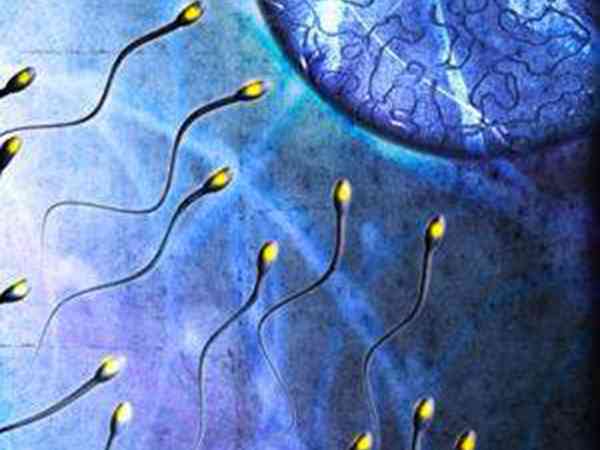 三代试管会多选Y精子与卵子结合吗？