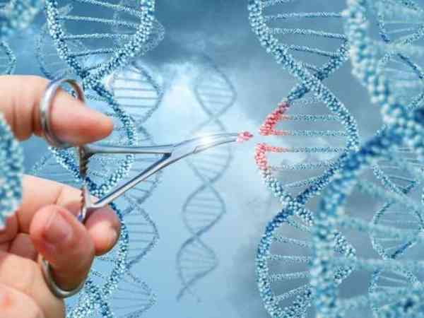 自身染色体异常供卵怀孕后需要做无创DNA检测吗？