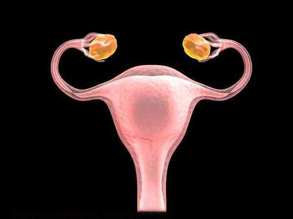 供卵试管婴儿对子宫环境及内膜厚度要求高不高？