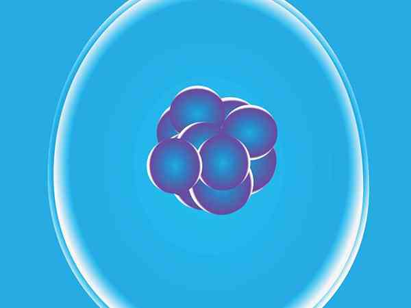 新鲜胚胎830的移植成功率能达到60%吗？
