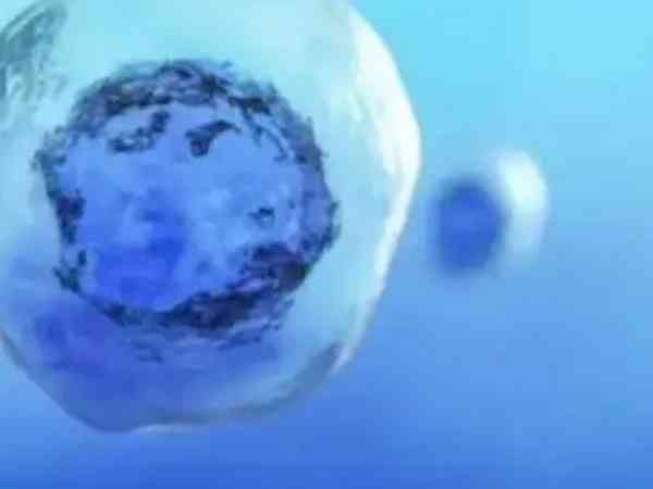 50岁绝经10年了还能移植冷冻胚胎吗？