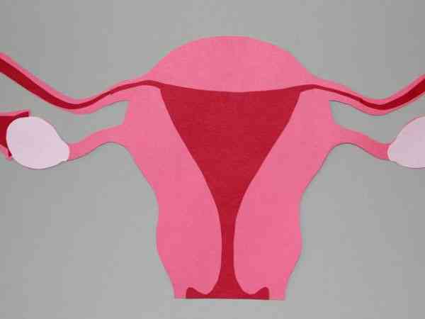 冻胚复苏移植需要子宫内膜和激素分别达到什么条件？