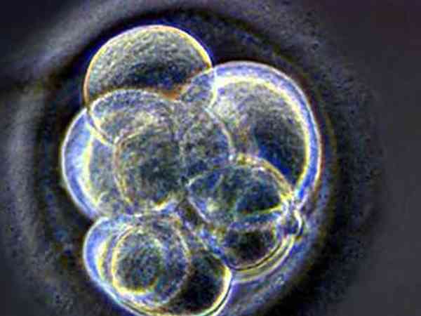 试管移植鲜胚怀孕了但是15天后又生化是怎么回事？