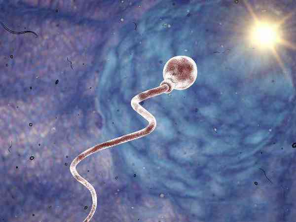 人工授精要放几次精子怀孕成功率会更高？