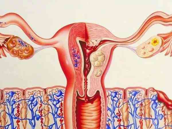 促进子宫内膜增厚最有效的民间偏方有哪些？