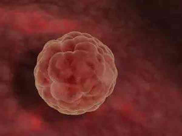 试管供卵血型不一样移植胚胎会不会有排异现象？
