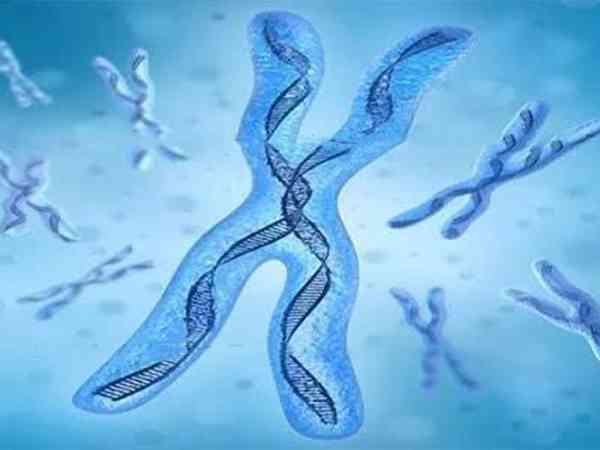 后天基因突变出现染色体平衡易位的人多吗？