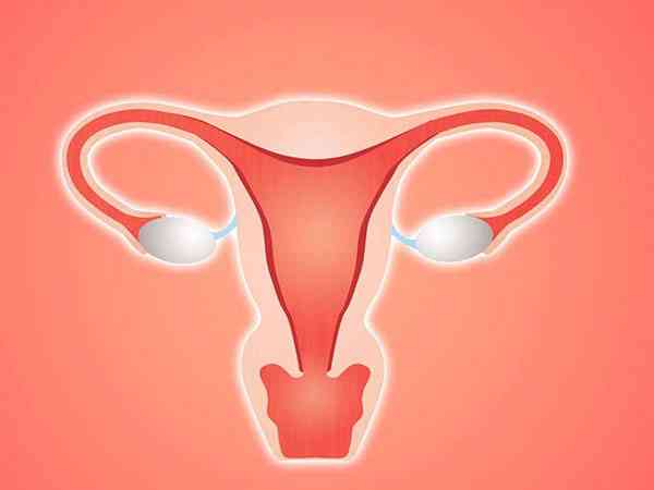 试管人工周期移植前子宫内膜转化是什么意思？