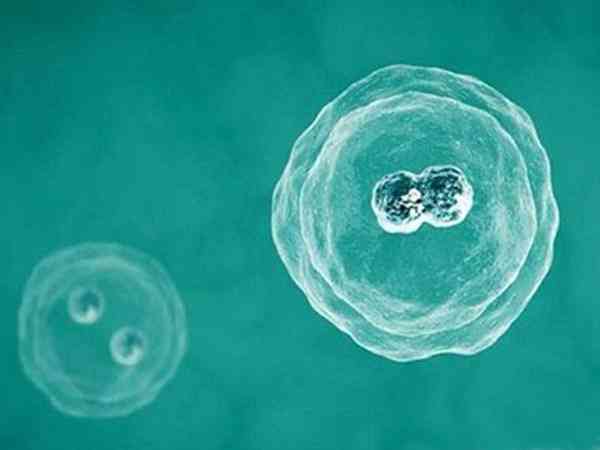 试管移植前被告知胚胎退化是不能用了的意思吗？