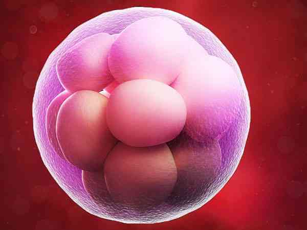 试管胚胎级别表中b级胚胎的质量好吗？