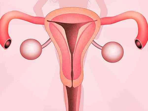美国肌醇胆碱真的是多囊卵巢的克星吗？