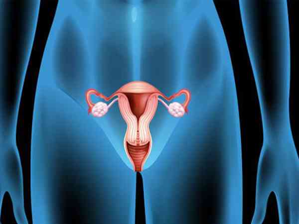 prp卵巢激活复苏术在国内什么医院可以做？