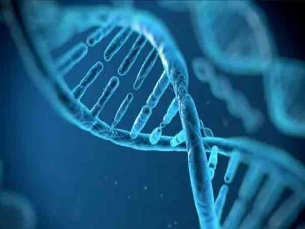 男性y染色体异常会遗传几代人？