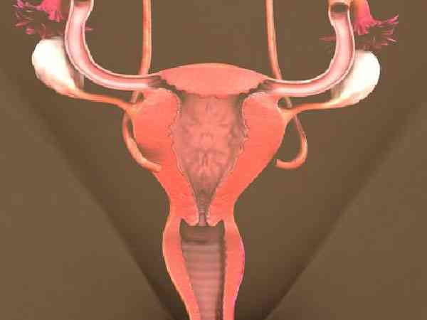 输卵管堵塞有什么办法可以帮助疏通从而提高怀孕几率？