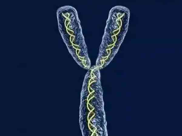 Y染色体azfb部分缺失活检会有精子吗？