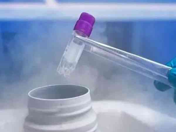 试管移植冻胚前上清液有什么作用？
