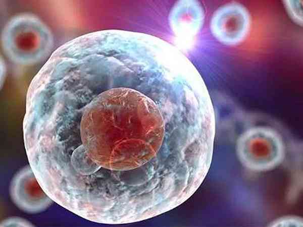 试管移植第3天的五细胞鲜胚能有希望一次成功吗？