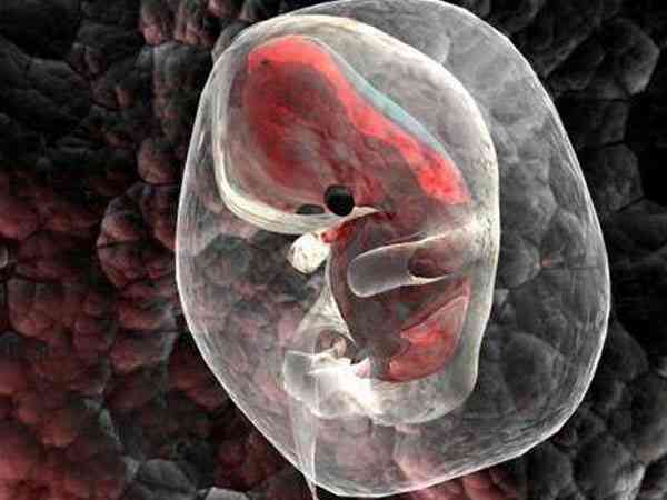 移植后0一14天胚胎都在子宫里干嘛？会有什么变化？