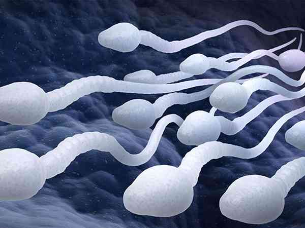 取精做精子质量检查前要求男士提前几天排精？