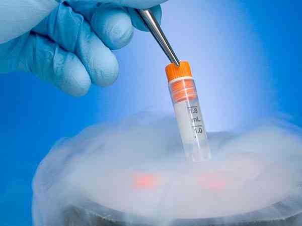 子宫腺肌症移植鲜胚还是冻胚着床成功率更高？