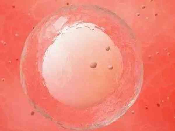 卵泡26乘19打促排针能正常排出并成功受孕吗？