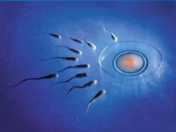 男方弱精女方卵子正常做二代试管的成功率高吗？