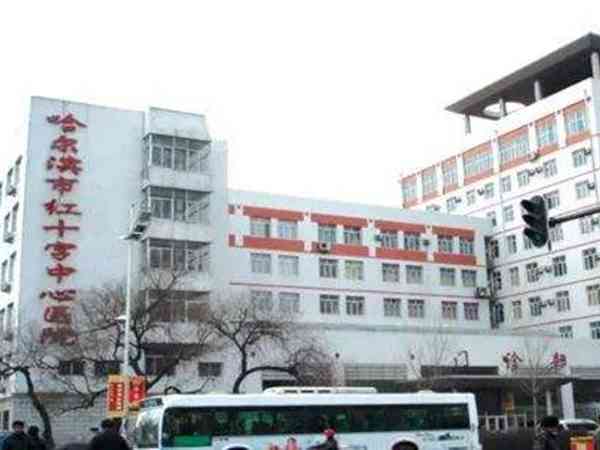 哈尔滨红十字妇产医院生殖科哪个大夫看不孕不育看的好？