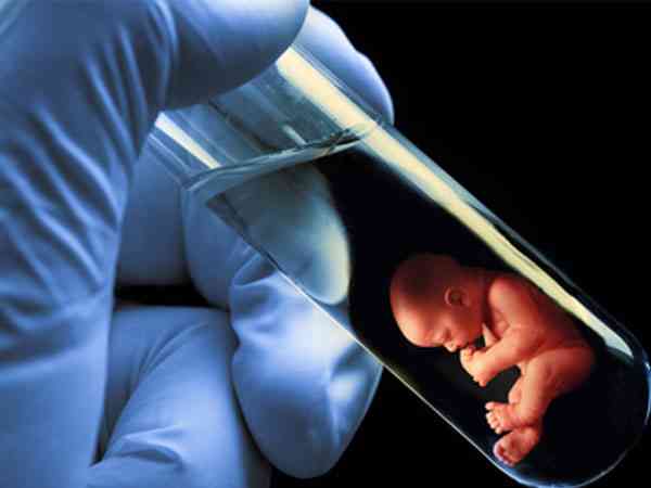 试管自然周期和人工周期移植胚胎的成功率是一样高的吗？