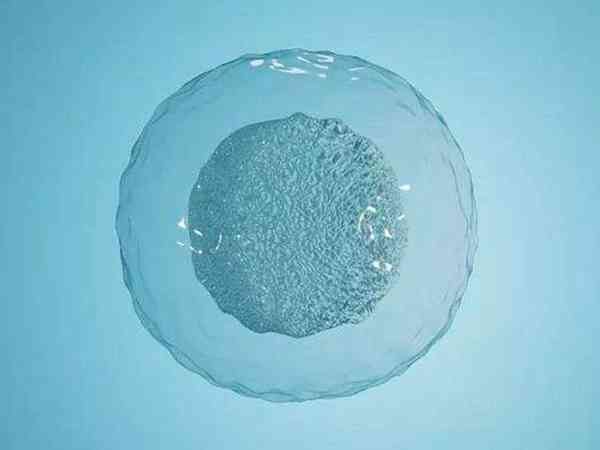 多囊卵巢做试管用拮抗剂方案促排最终取卵质量好不好？