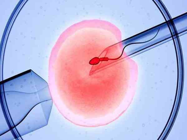 试管婴儿男方从前期检查到胚胎移植一共需要去几次医院？