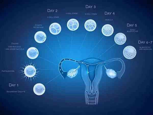 女性低促性腺激素功能减退导致闭经可以促排怀孕吗？