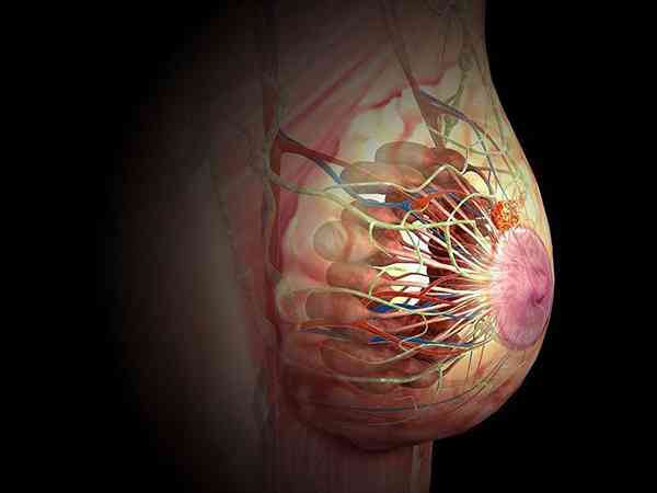 乳腺结节三级做试管促排三个月会有癌变风险吗？