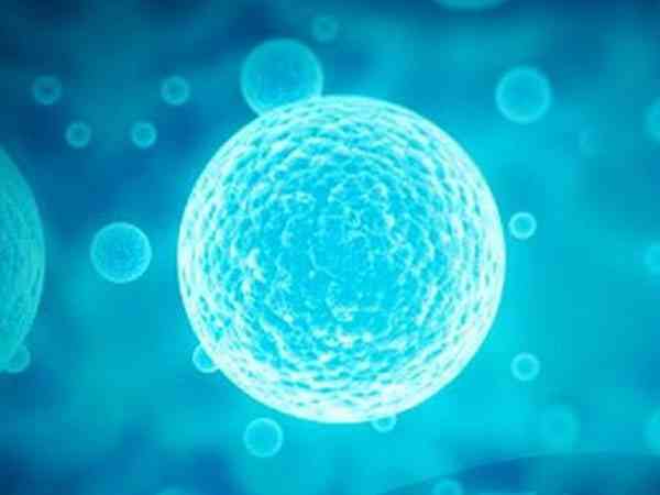 微刺激方案的优点是可以在促排过程防止空卵泡吗？