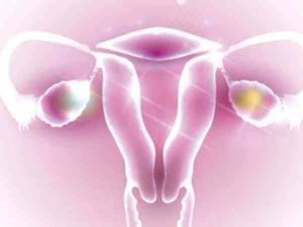46岁卵巢功能amh0.01还能通过促排卵成功怀孕生子吗？