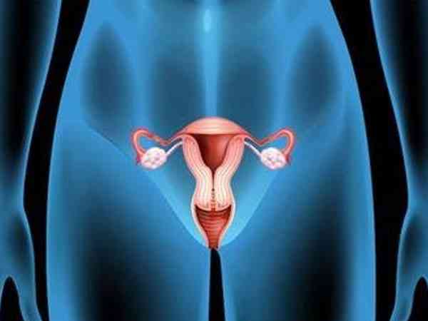 为什么卵泡监测总是在右侧卵巢发现有优势卵泡？
