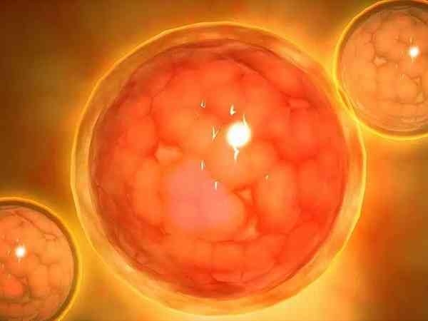 胚胎612是什么意思？是优质胚胎吗？