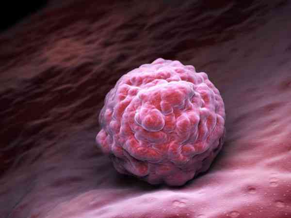 试管移植鲜胚5细胞2级胚胎着床成功率高吗？