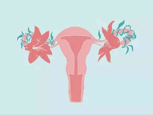 孕期AMH检查结果可以准确判断胎儿性别吗？