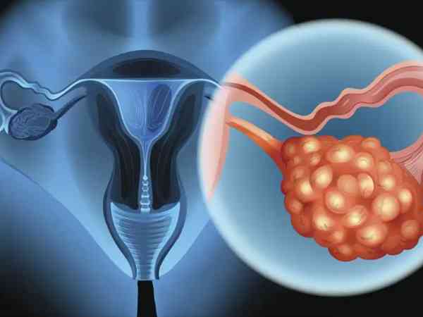 卵巢早衰amh0.17吃中药调理之后可以自然怀孕吗？