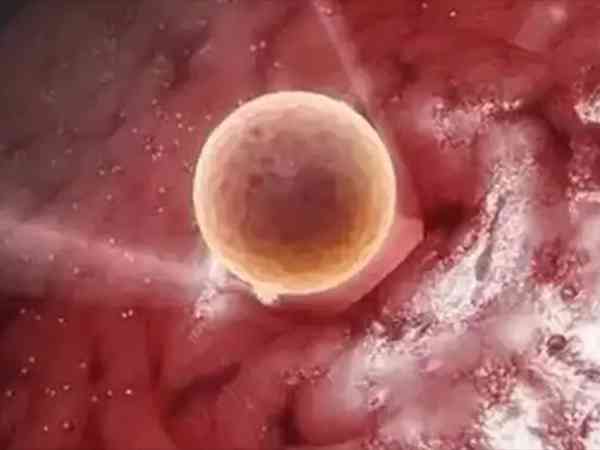 移植后第二天体温37.1度是胚胎着床成功了吗？